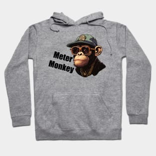 Meter monkey Hoodie